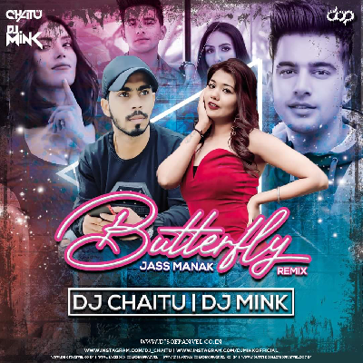 Butterfly (Remix) - DJ Chaitu   DJ Mink